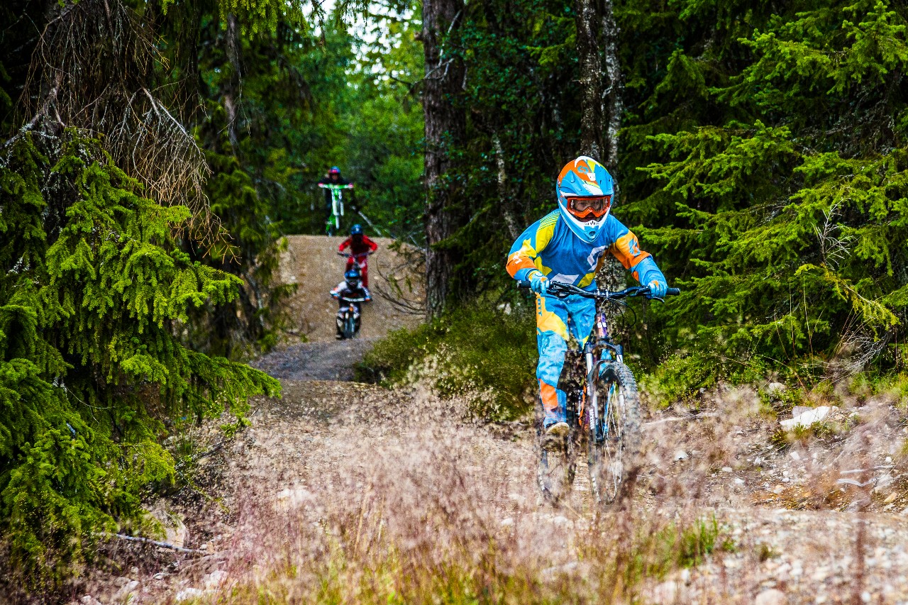 Downhill i Lofsdalen