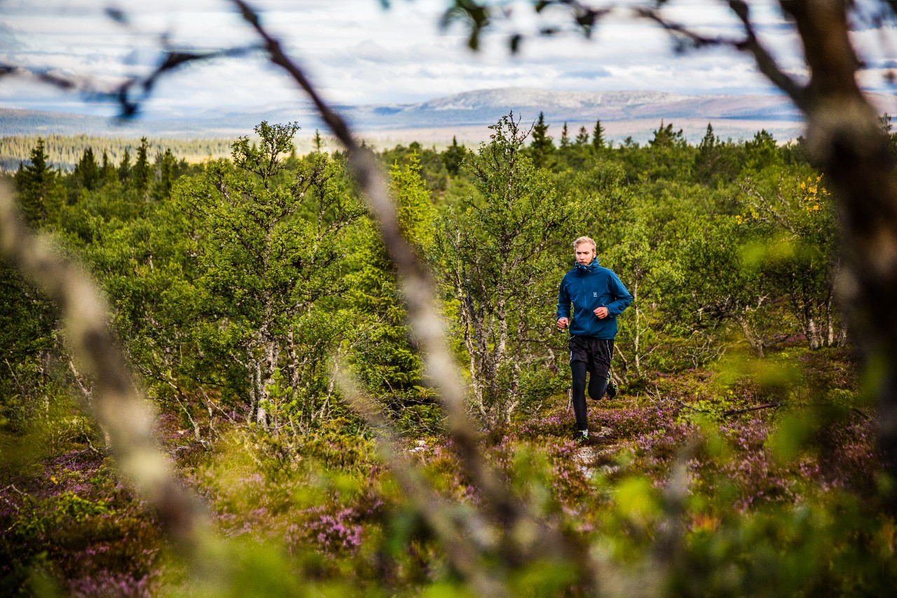 Löpning i Lofsdalen