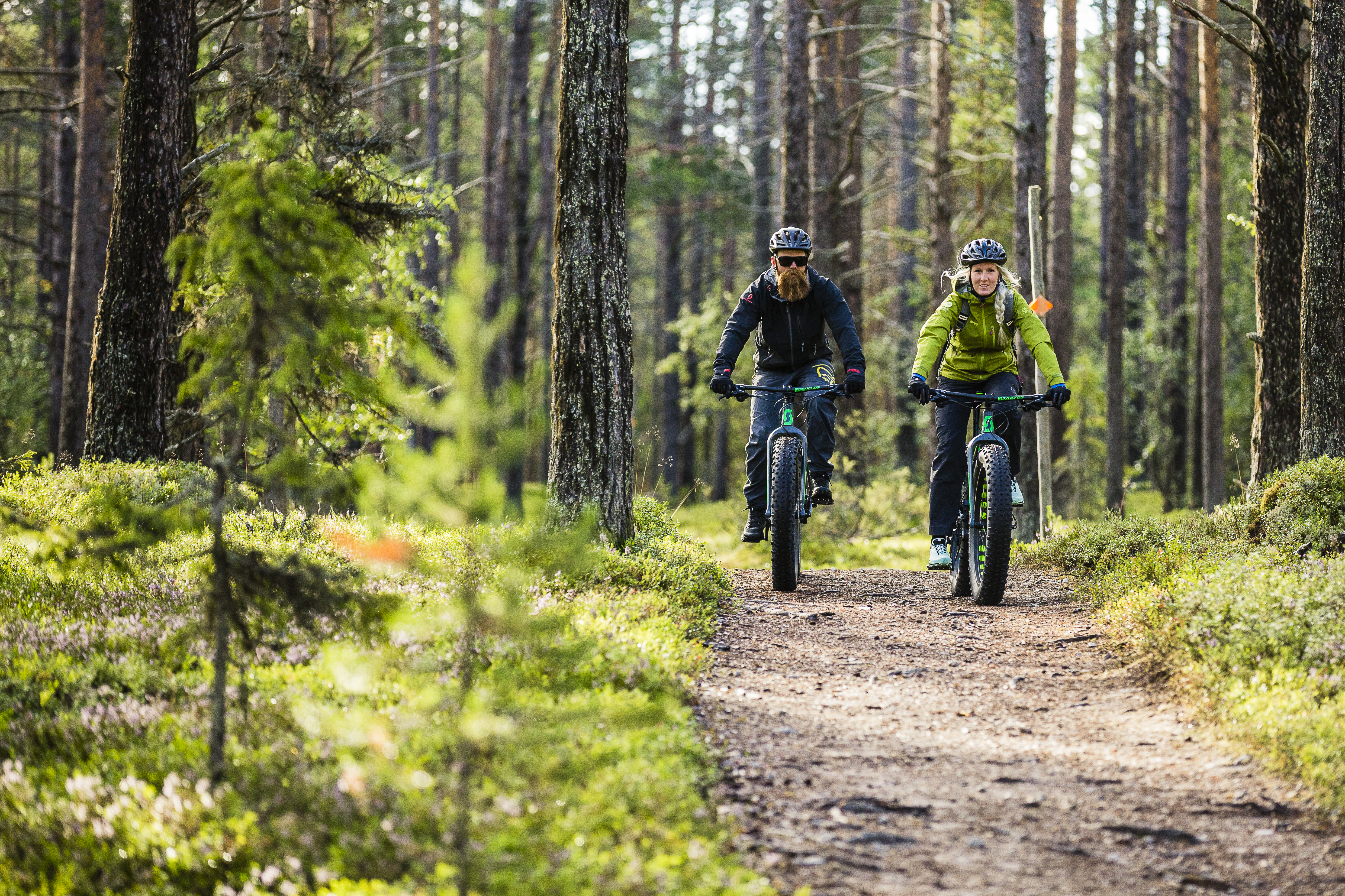 Cykel i Lofsdalen