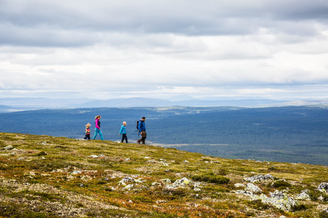 Vandring i Lofsdalen